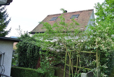 Dach vorher