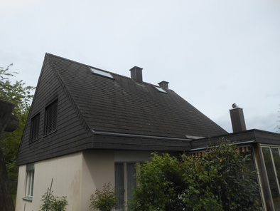 Dach vorher