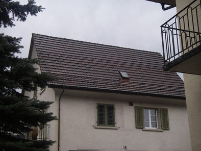 Dach vorher